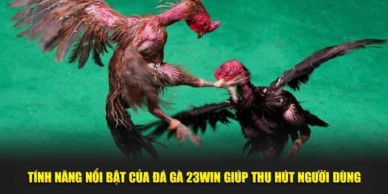 Tính năng nổi bật của đá gà 23WIN giúp thu hút người dùng